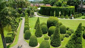 Green Garden in Thailand